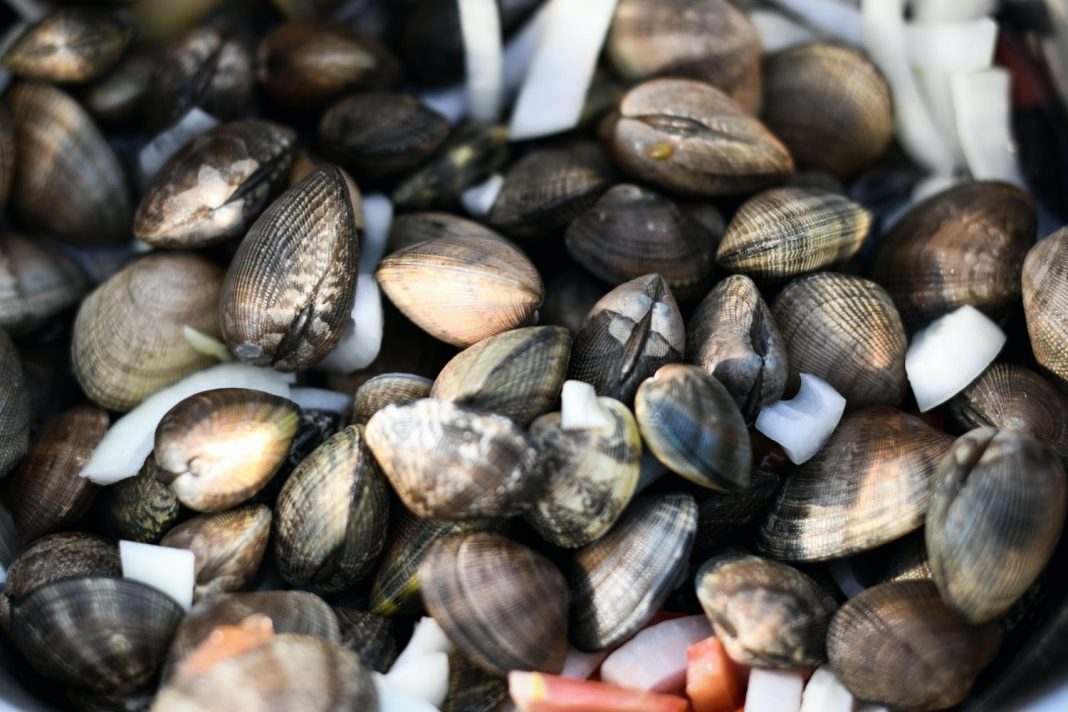 Karlos Arguiñano borda las almejas a la marinera con este ingrediente