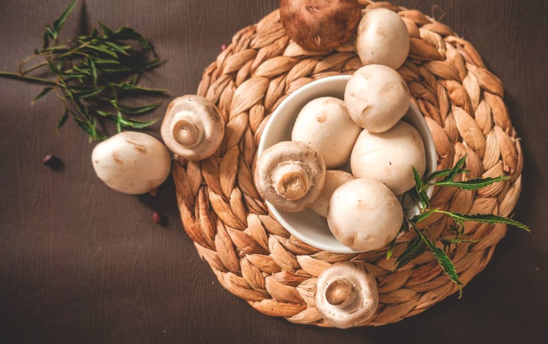 Crema de champiñones: el aderezo perfecto para la carne en otoño