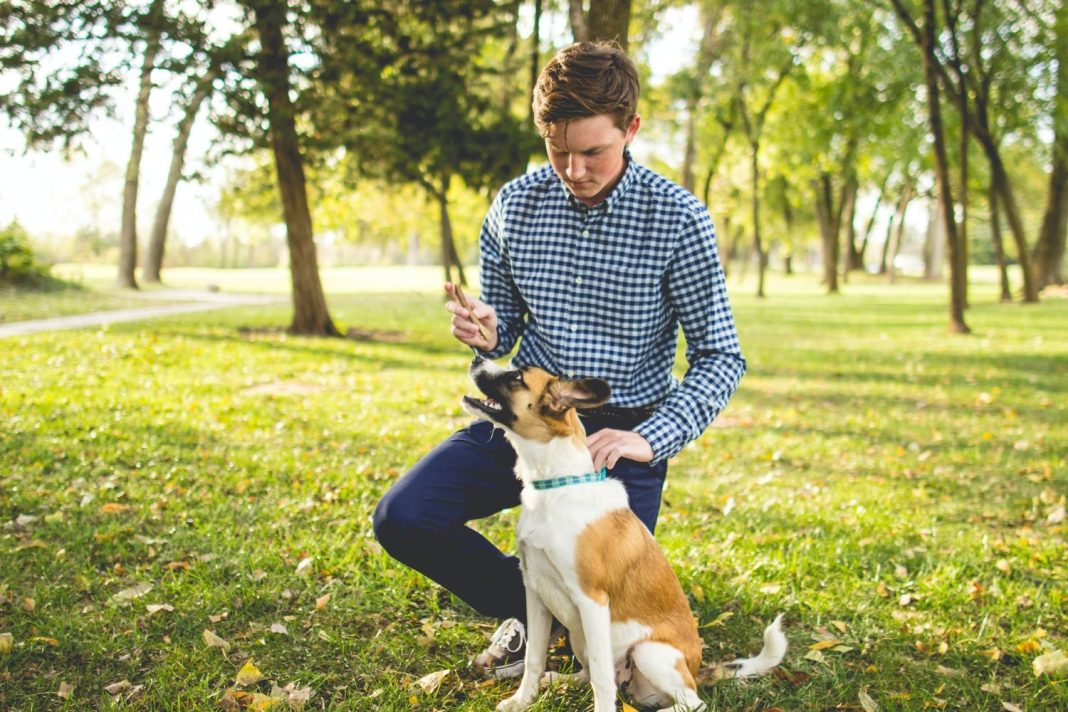 Esto es lo que cuesta al año tener un perro