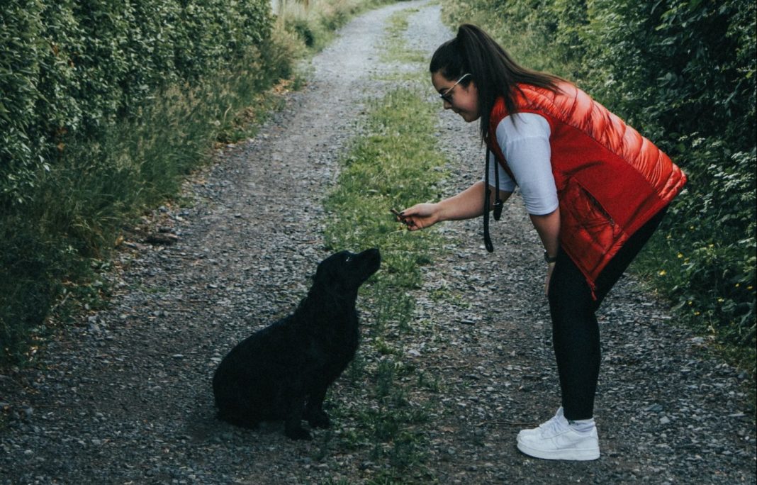 Esto es lo que cuesta al año tener un perro