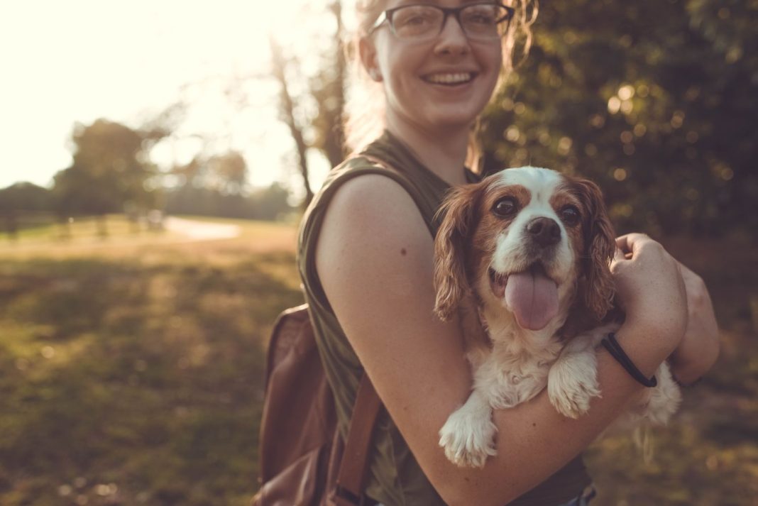 Lugares con encanto de Madrid donde puedes llevar a tu perro suelto