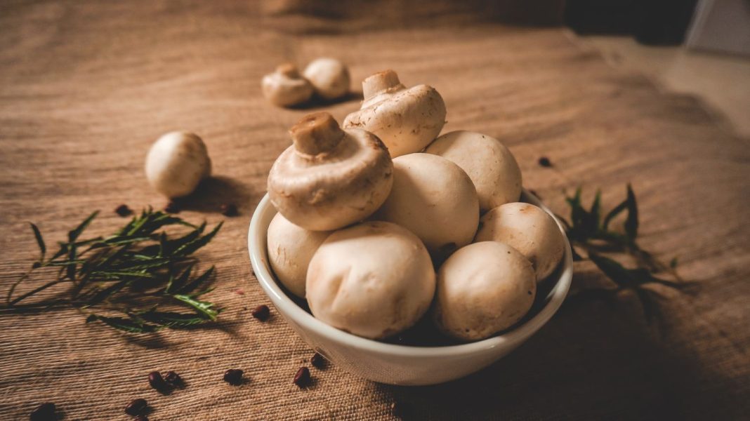 Sopa de pollo con champiñones: la receta facilísima que te salvará del frío