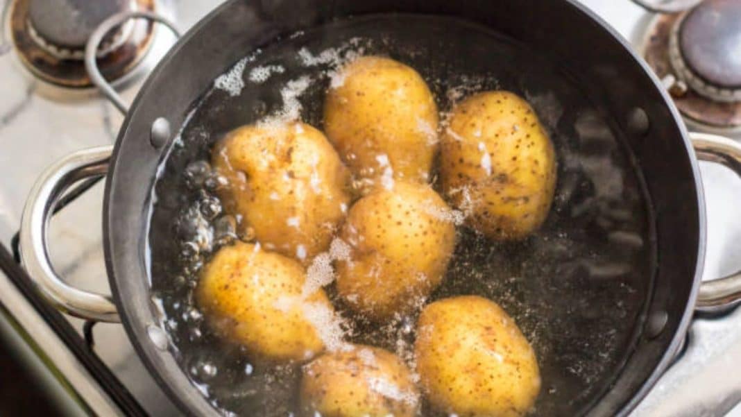 En la olla agrega las verduras, chorizos, y patatas