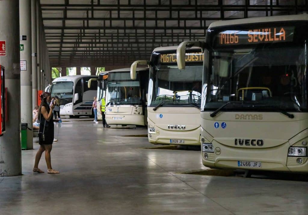 Tambien En Autobuses Que Rutas Puedes Hacer Gratis Desde Ya 4