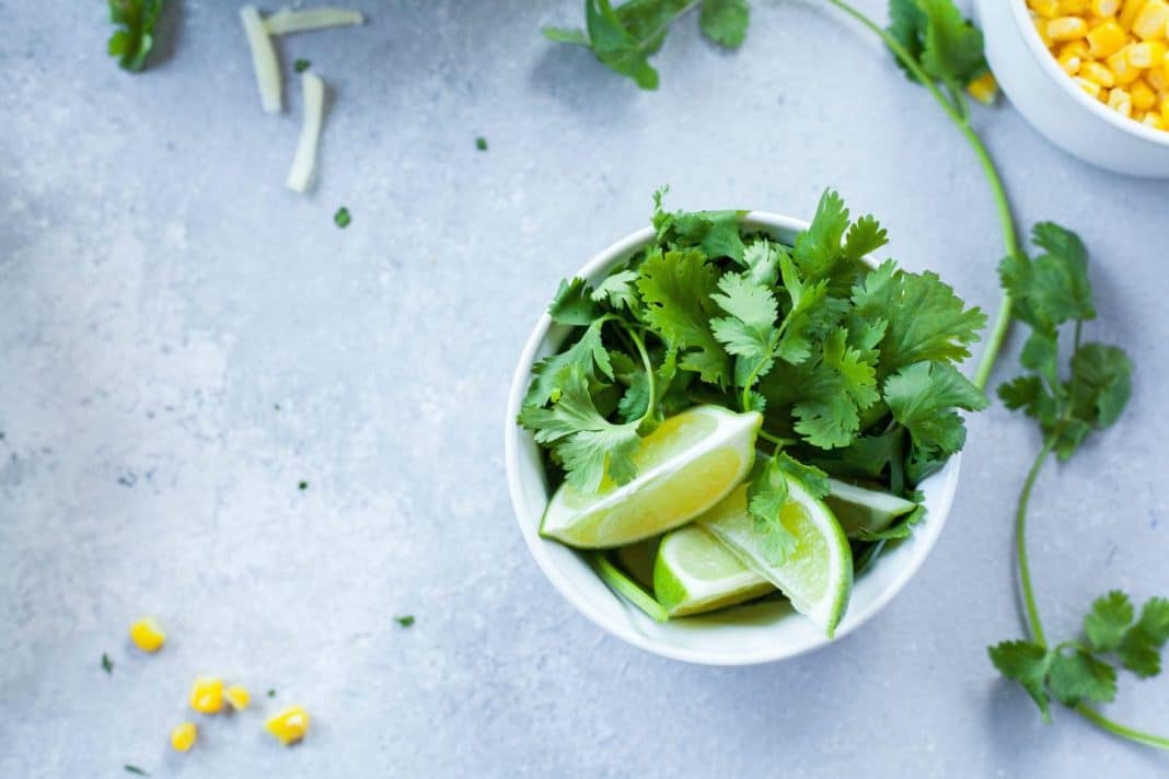 Los beneficios del cilantro que te hará tomarlo cada día