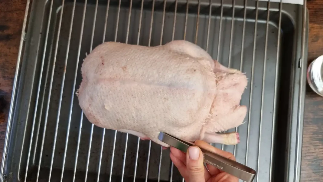 Cómo hacer rápido y fácil la mejor receta de pato al horno