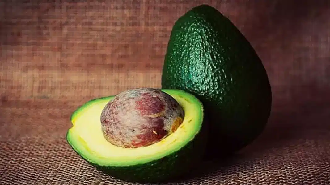 Así puede mejorar tu belleza comer aguacate