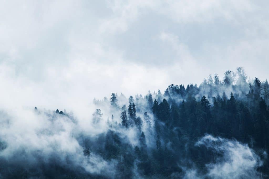 ¿En Qué Partes Del País Puede Llover En Estos Días Y Cómo Serán Las Temperaturas? 