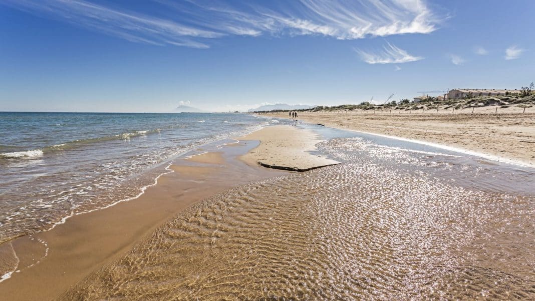 L'Estany: una playa virgen en pleno Parque Natural de la Albufera