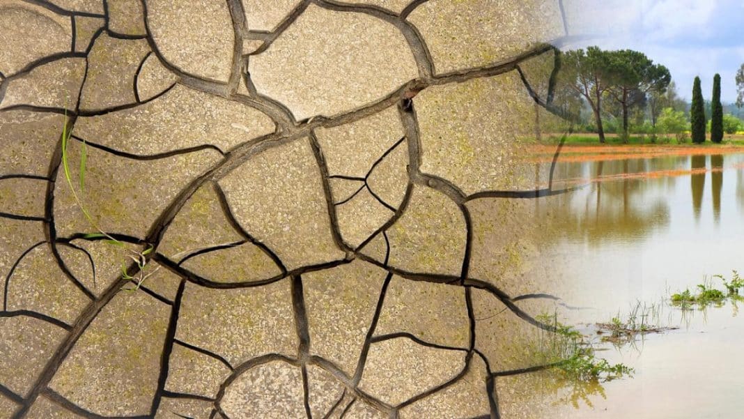 La AEMET advierte: así conviene prepararse para el fenómeno El Niño