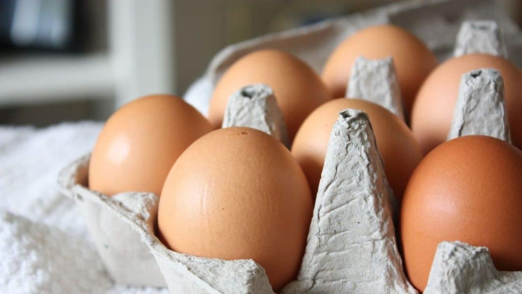 El truco de los profesionales para cocer huevos y que queden perfectos