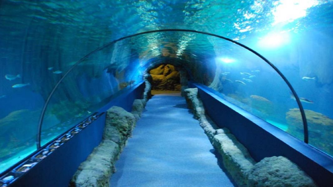 Acuario de Almuñécar