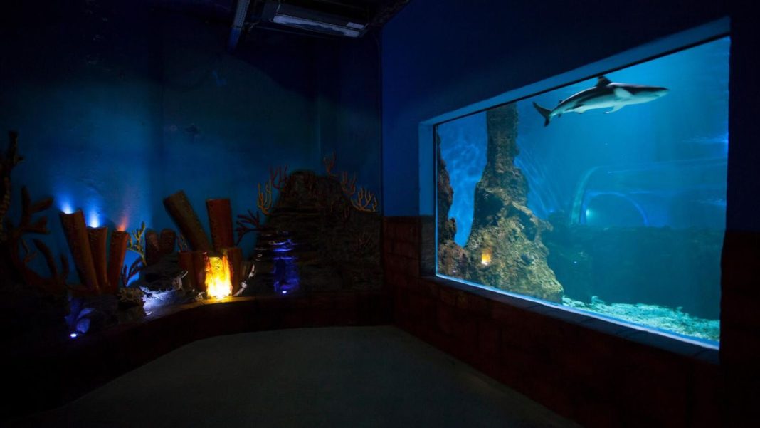 Acuario de Lanzarote