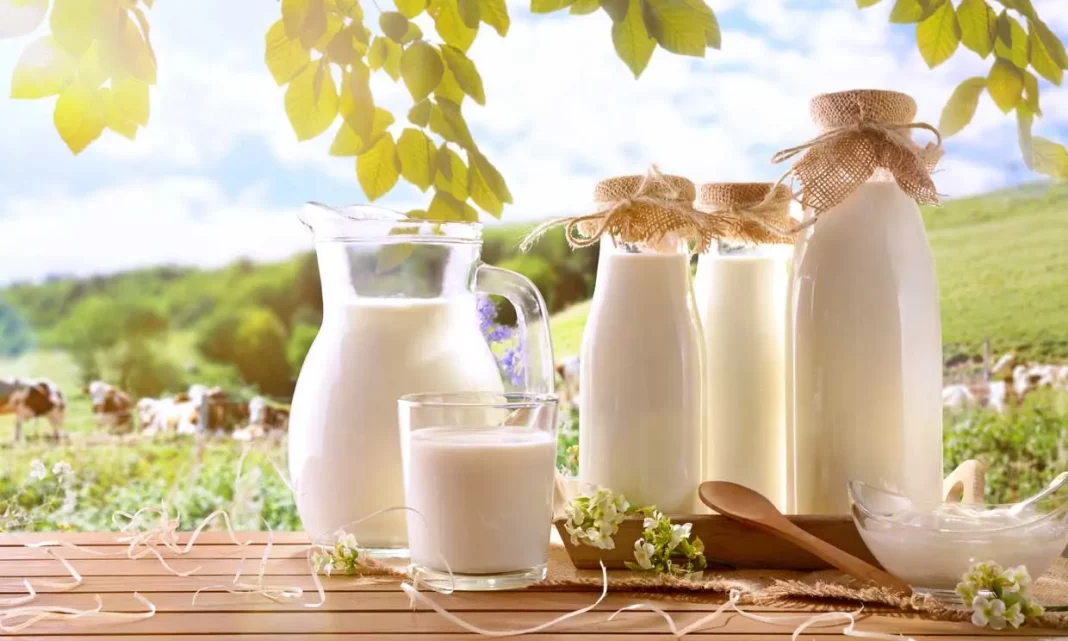 Esta es la leche más sana del supermercado, según la OCU