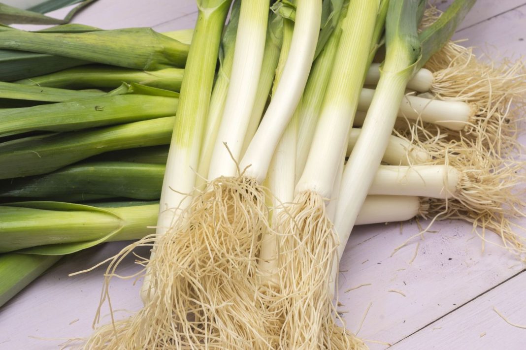 La crema de lentejas de Arguiñano que está mejor que el puré