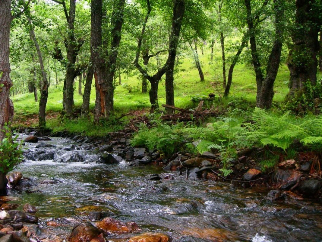 Sierra del Rincón