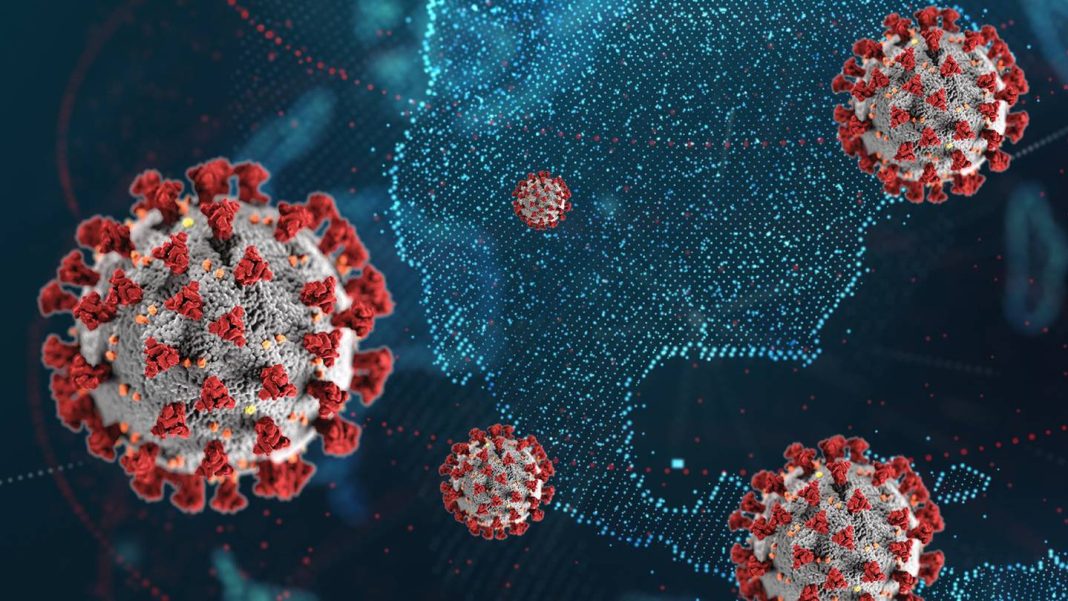 La OMS advierte: así son las nuevas variantes del COVID