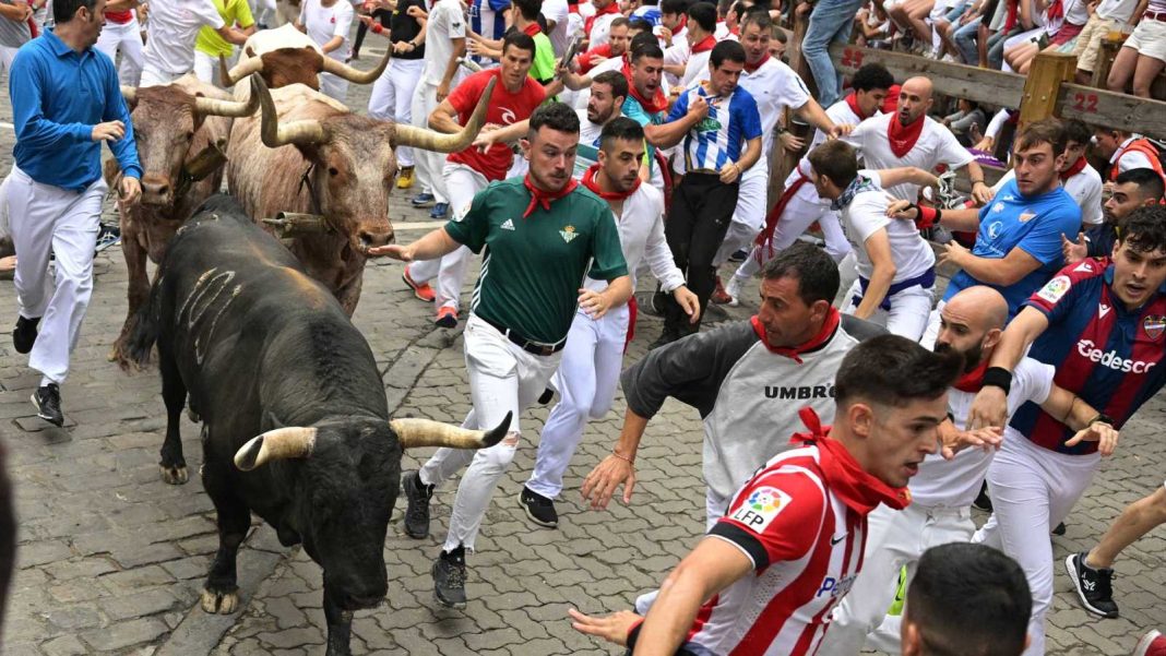 San Fermín y la conjunción de religión, ganadería y tauromaquia