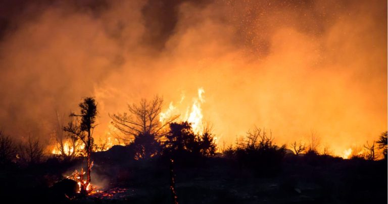 Caos en Cabeza del Buey: Incendio alcanza Nivel 1 de peligrosidad, Cáceres consigue sofocar amenaza en la N-521