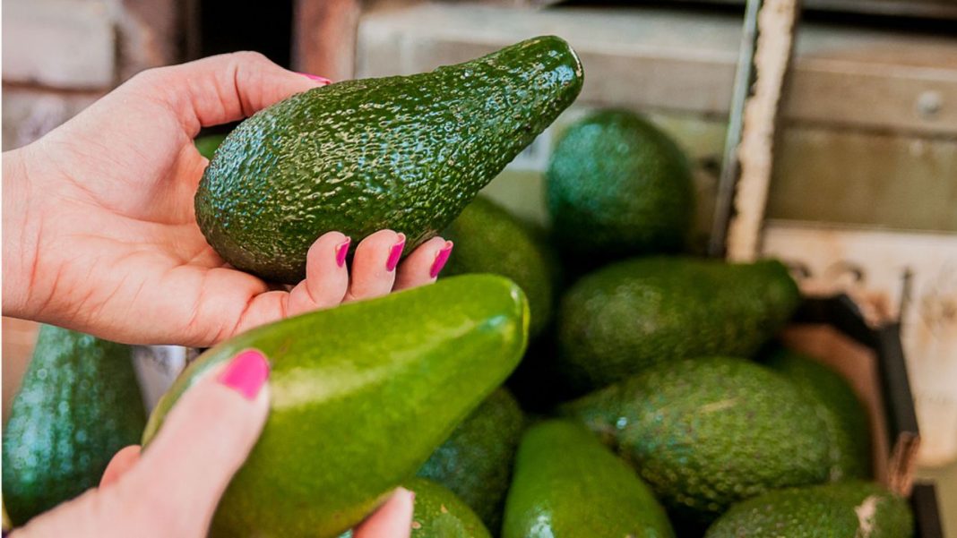 La receta de aguacate de Arguiñano más refrescante del verano