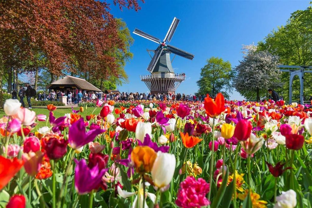 Jardín De Keukenhof En Amsterdam, Holanda