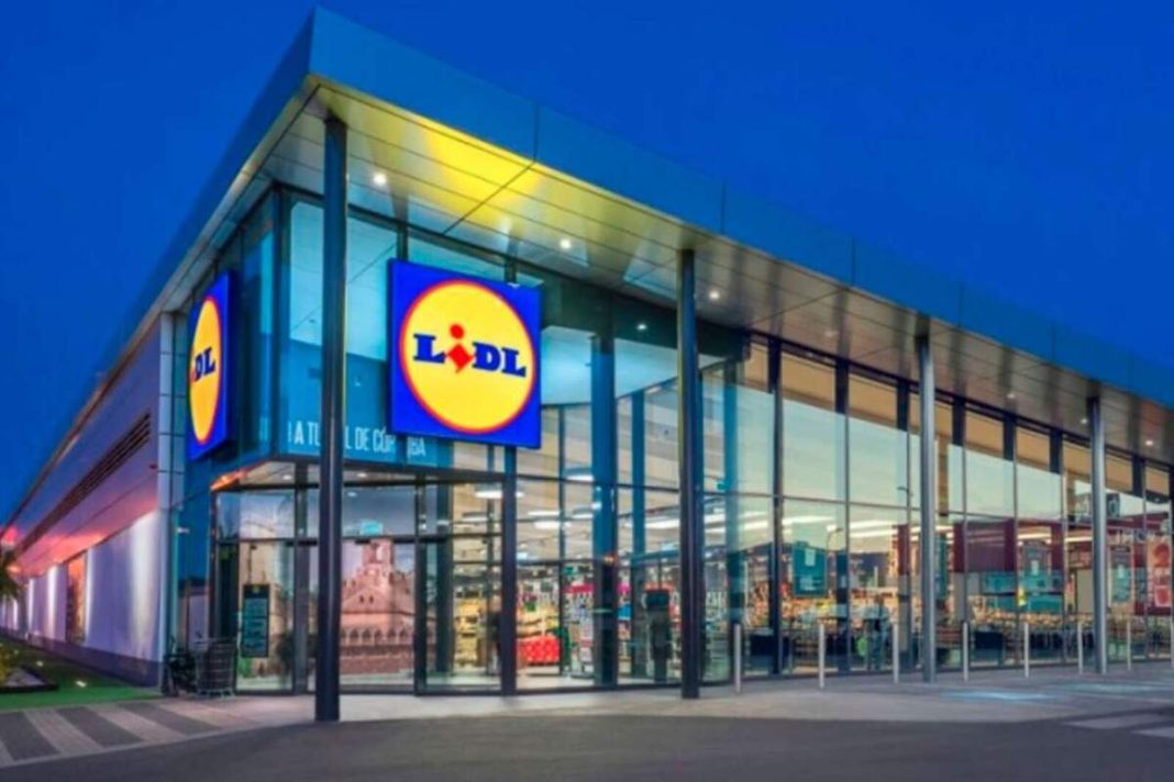 Lidl: la estantería que parece de lujo a un precio que ni Ikea