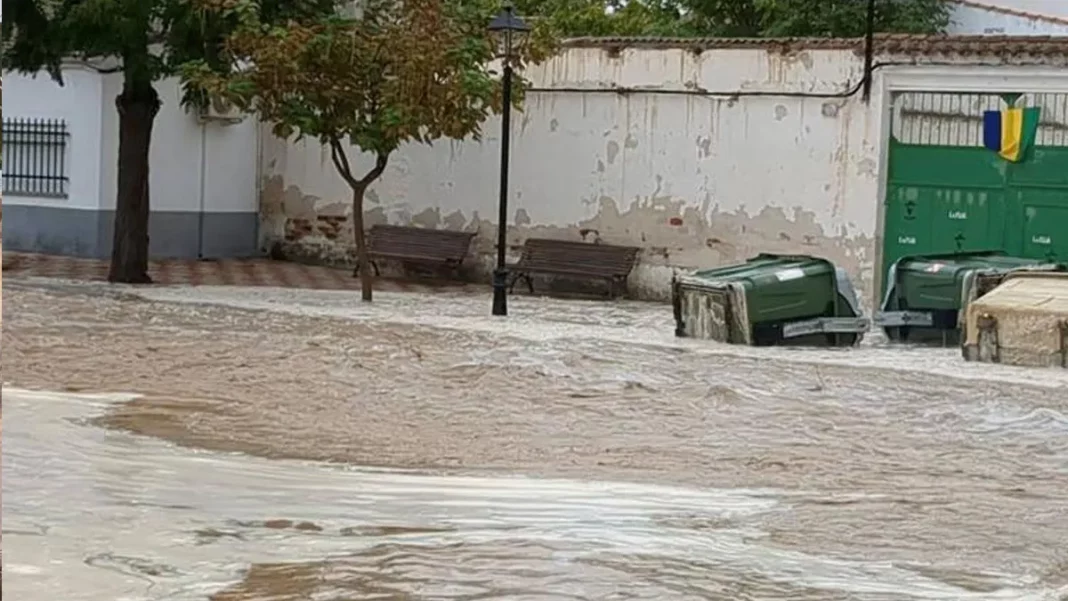 El Sábado: Día de Mayor Precipitación