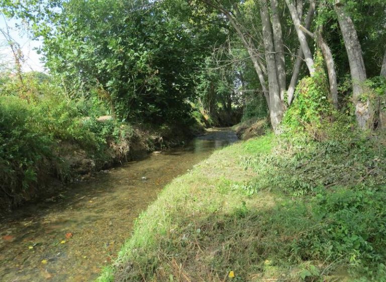 El causante del brote de gastroenteritis en Aragón proviene del río Queiles en Soria