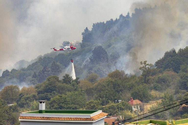 El Gobierno canario declara el nivel 2 del incendio forestal de Tenerife