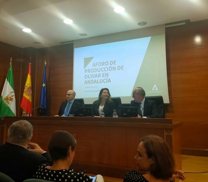 Andalucía prevé una producción 550.600 toneladas de aceite de oliva, un 7,4% más que la anterior campaña