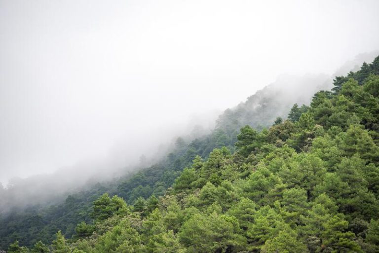 Llega el tiempo otoñal con lluvias generalizadas en toda España y bajan las temperaturas después del episodio de calor