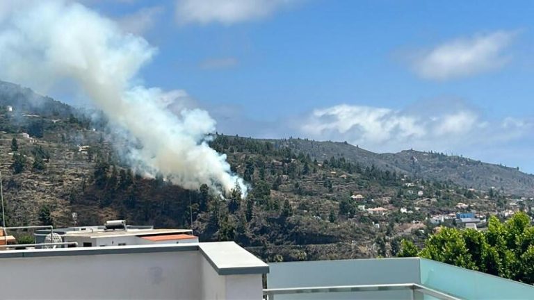 El Gobierno destina 590.000 euros para paliar los efectos del incendio en Punta Gorda (La Palma)