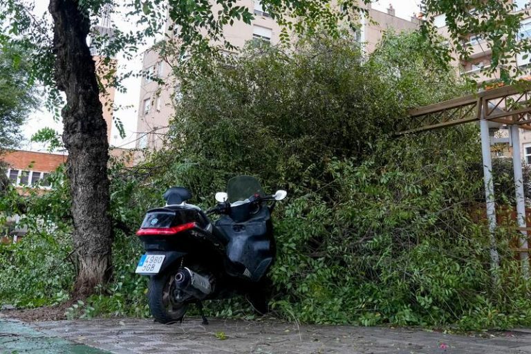 Andalucía supera las 1.750 incidencias provocadas por la borrasca Aline