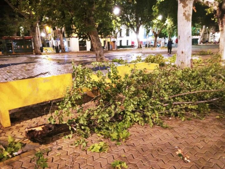 Desactivado el Plan de Emergencias en Sevilla tras cerca de 500 incidencias por las rachas de viento