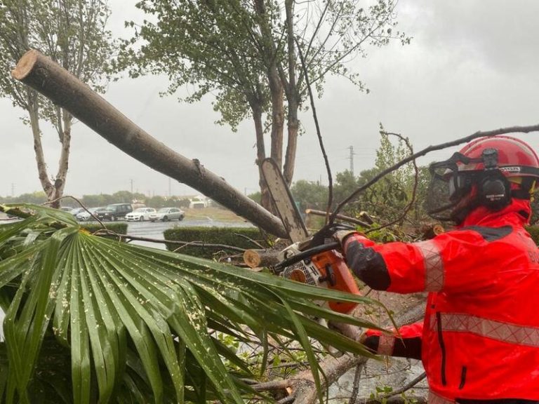 Andalucía supera 2.000 incidencias por la borrasca con dos muertos en Trigueros (Huelva) y Córdoba y siete heridos