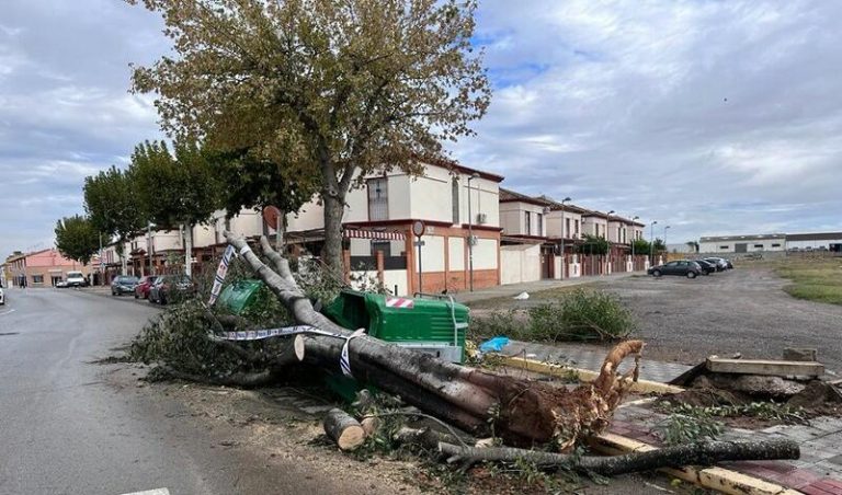 El 112 registra más de 700 incidencias por el temporal de viento en Andalucía