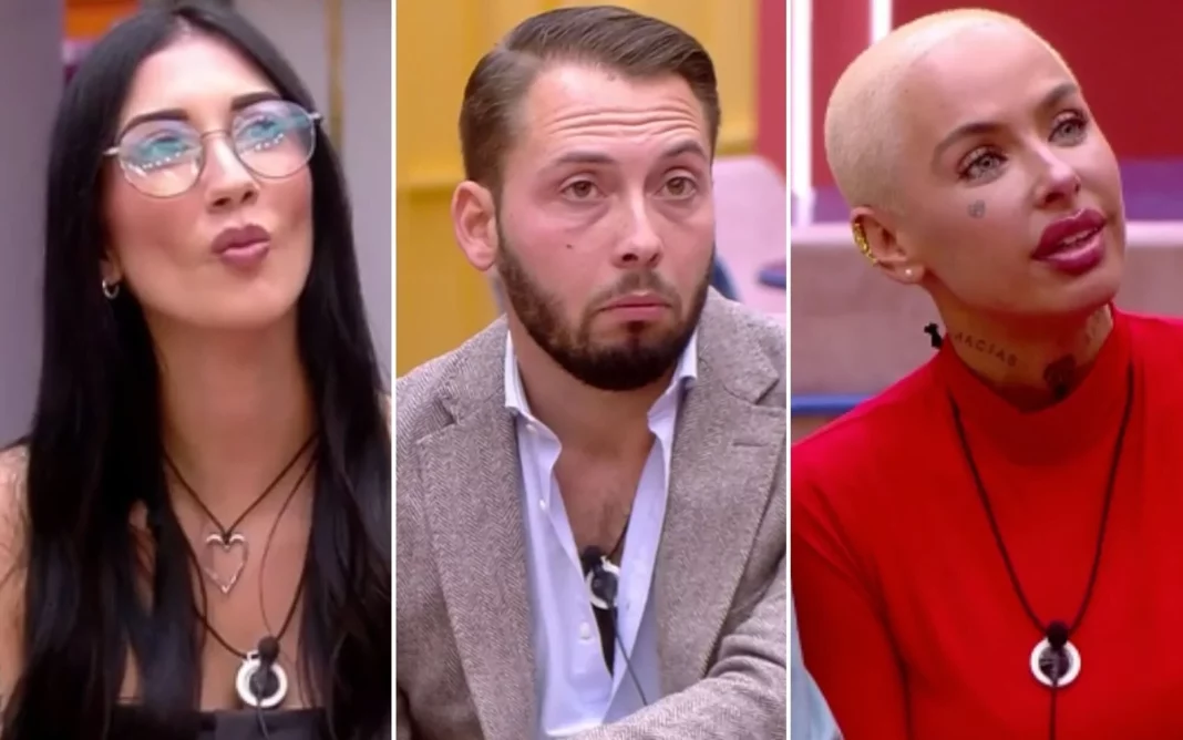 Jóse Antonio Áviles llega a GHVIP 8 para revolucionar la casa, así ha atacado a Michel Terlizzi