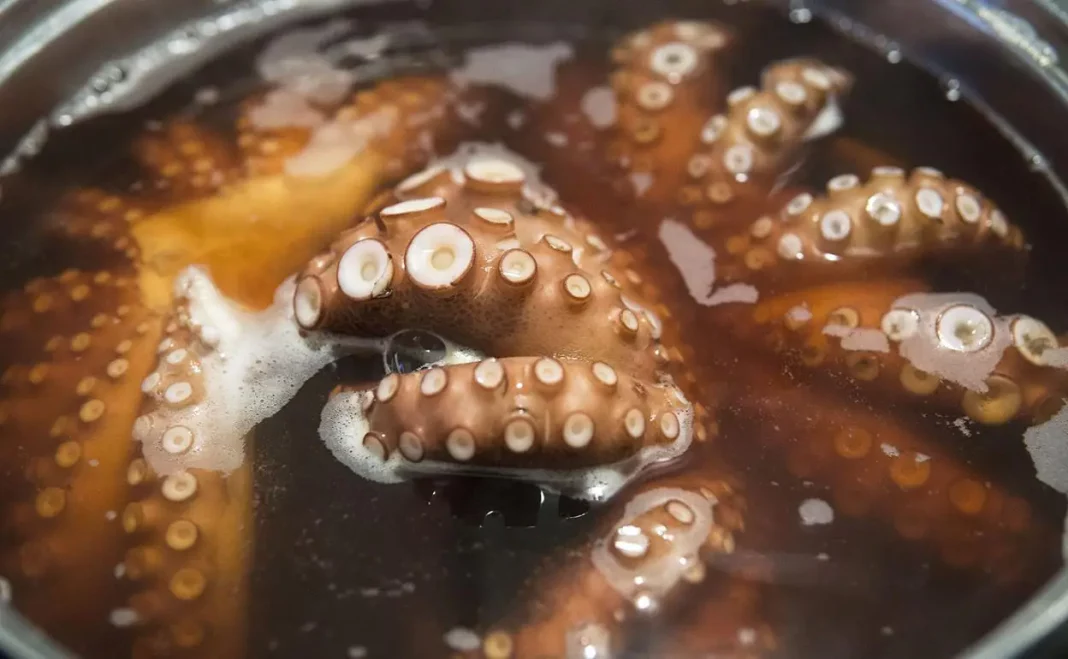 ¿Quieres saber cómo hacer el mejor pulpo a la gallega? Aquí te lo revelamos, rápido y fácil