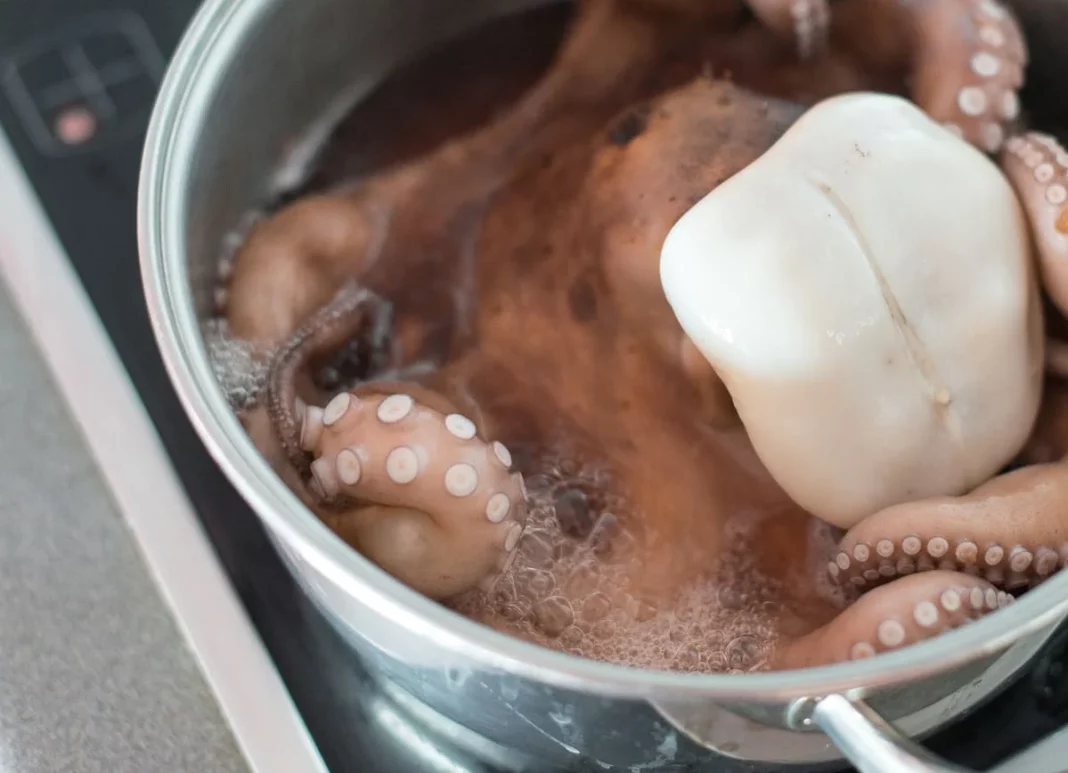 ¿Quieres saber cómo hacer el mejor pulpo a la gallega? Aquí te lo revelamos, rápido y fácil