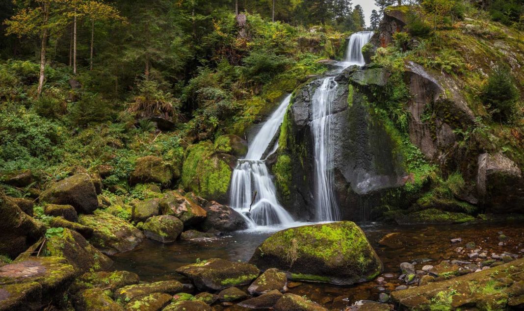 Descubre la serenidad en el Bosque Negro de Alemania