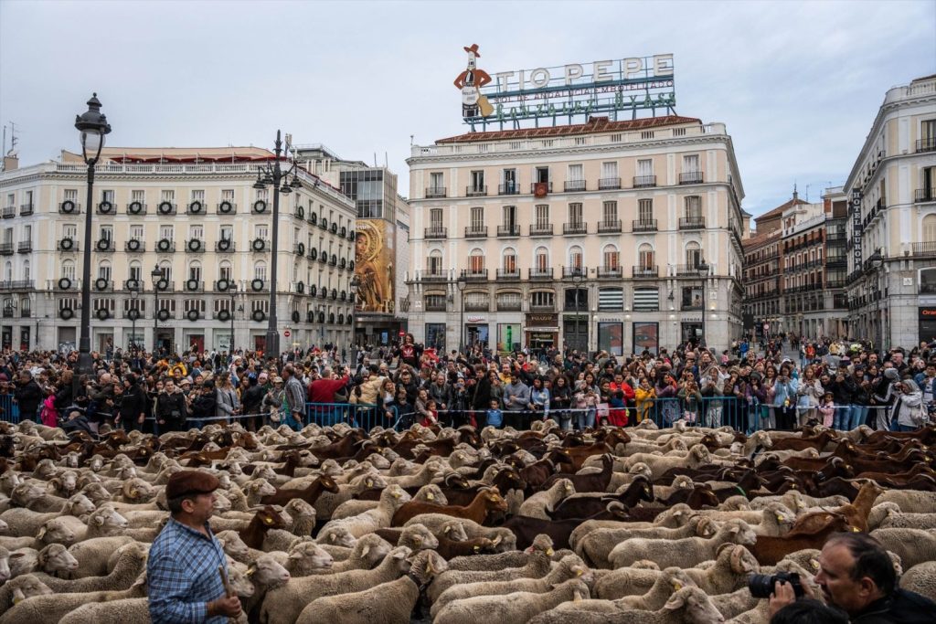 La Fiesta De La Trashumancia  Pasó También Por La Puerta De Sol