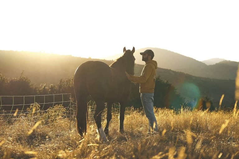 100 días a caballo por Norteamérica, una travesía en busca de respuestas