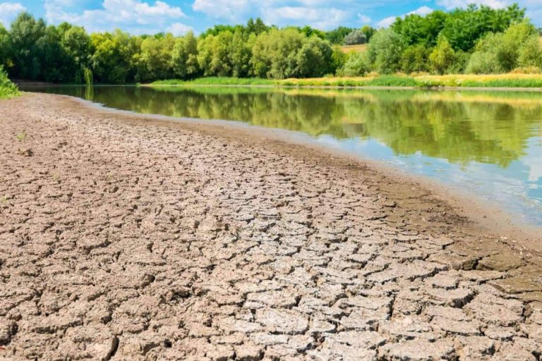 Soluciones sostenibles en el ámbito de la gestión del agua, con Pluvial