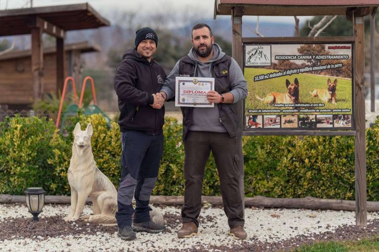 Realizar el Curso de Adiestrador Canino Profesional con la escuela de adiestramiento Monte Ida