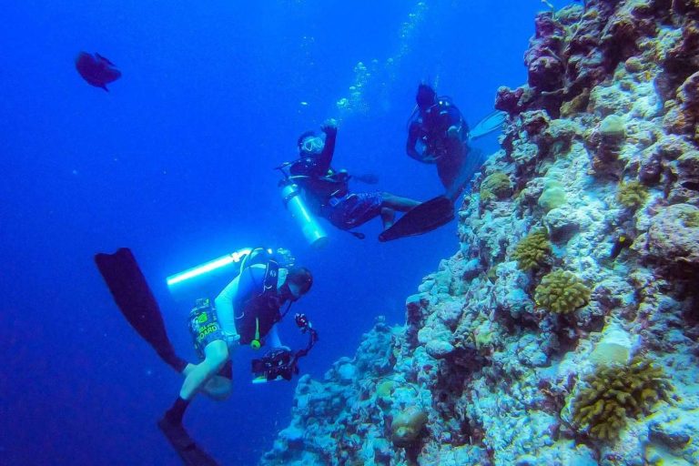 Un destino perfecto para aprender a bucear en el paraíso de Maldivas con Drop Dive Maldives es Rasdhoo