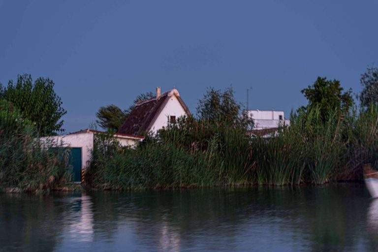 ¿Cómo son los paseos en barca por la Albufera desde El Palmar que ofrece Albumar?