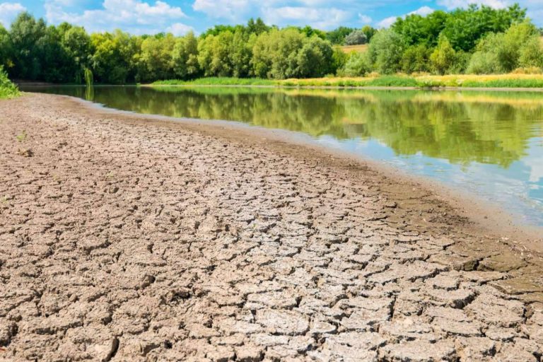 Pluvial cuenta con sistemas de tratamiento de aguas pluviales