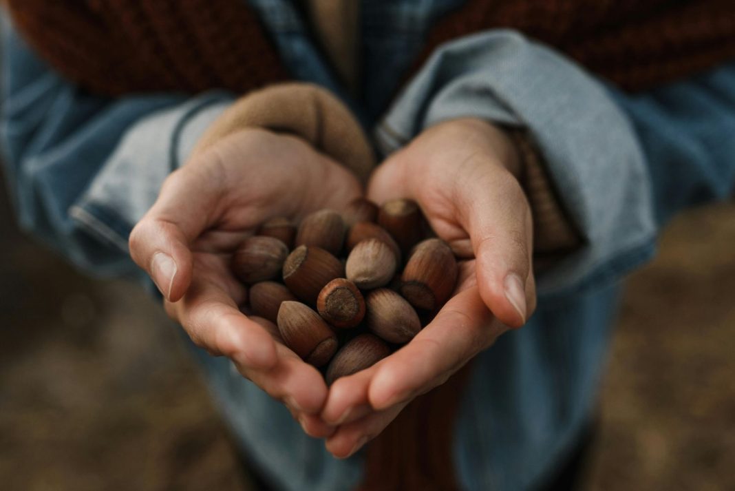 Olvida las nueces y las almendras: descubre el fruto seco perfecto para llenar tu día de energía