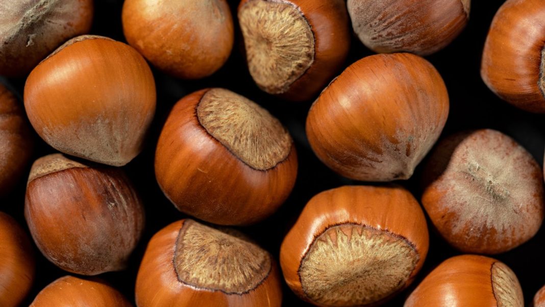 Olvida las nueces y las almendras: descubre el fruto seco perfecto para llenar tu día de energía