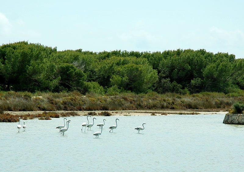 Parque Natural Ses Salines